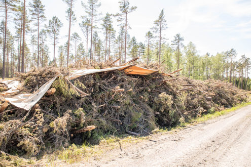 Enligt Michelin kan restprodukter från grot snart ersätta olja vid tillverkning av däck. Foto: Per Eriksson