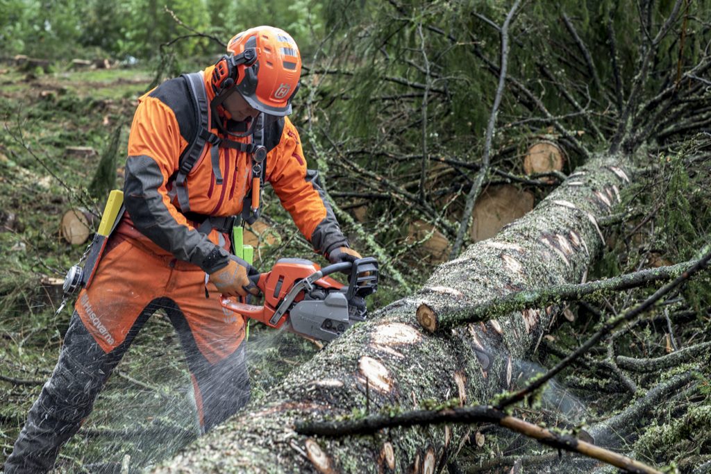 Logging-with-550XP-Mark-II-Anton-Pettersson-H150-0467-1-1024x683