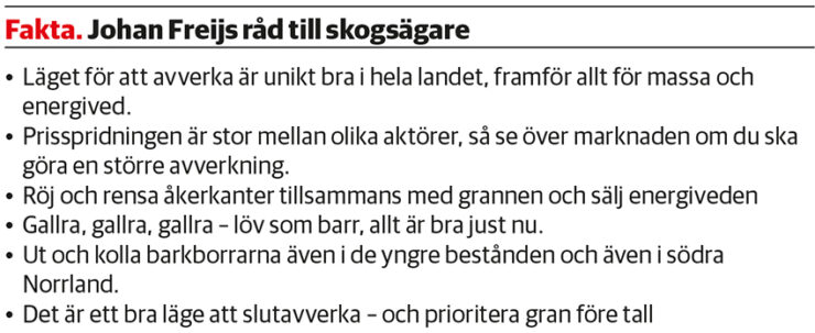 faktaruta_rekordtider_skogen