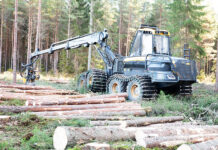 Starkt andra kvartal från Sveaskog