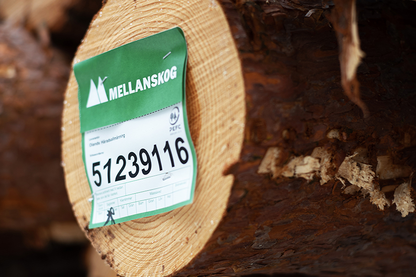 Skogsägarföreningen Mellanskog redovisar ett rörelseresultat för årets första kvartal på 75 miljoner kronor (71)
