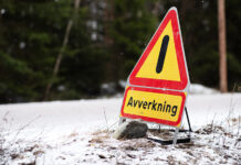 Avverkningsanmäld skog fördubblades efter Johannes