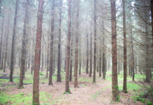 Mer gran trots att lämpliga områden krymper