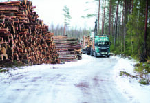 Skogsvägar: En livlina i krisberedskapen