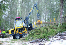 Skogsindustrin rankas som landets viktigaste näring