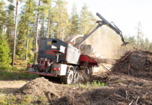 Ökat behov av biobränslen: Norra Skog rekordlevererar