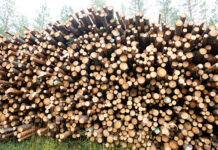 Ökad avverkningsanmäld areal i mars