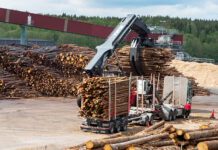 Efter stormarna: Nu pågår intensiva skogstransporter
